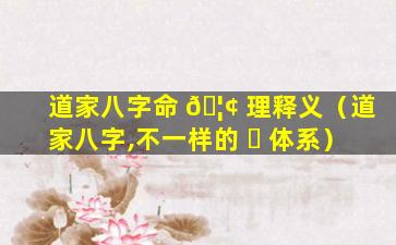 道家八字命 🦢 理释义（道家八字,不一样的 ☘ 体系）
